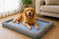 CanisCool Cooling Bed with Golden Retriever