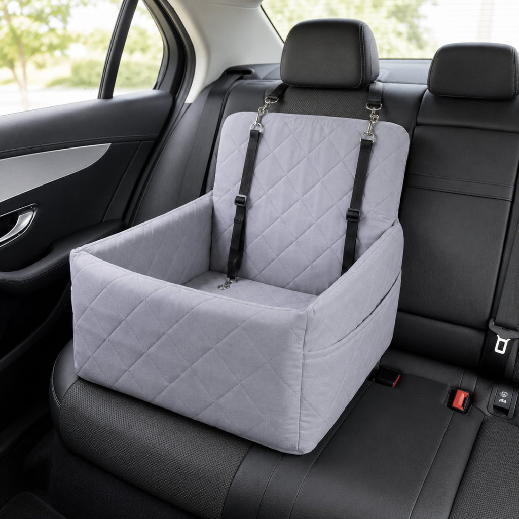 Booster seat installed in back seat
