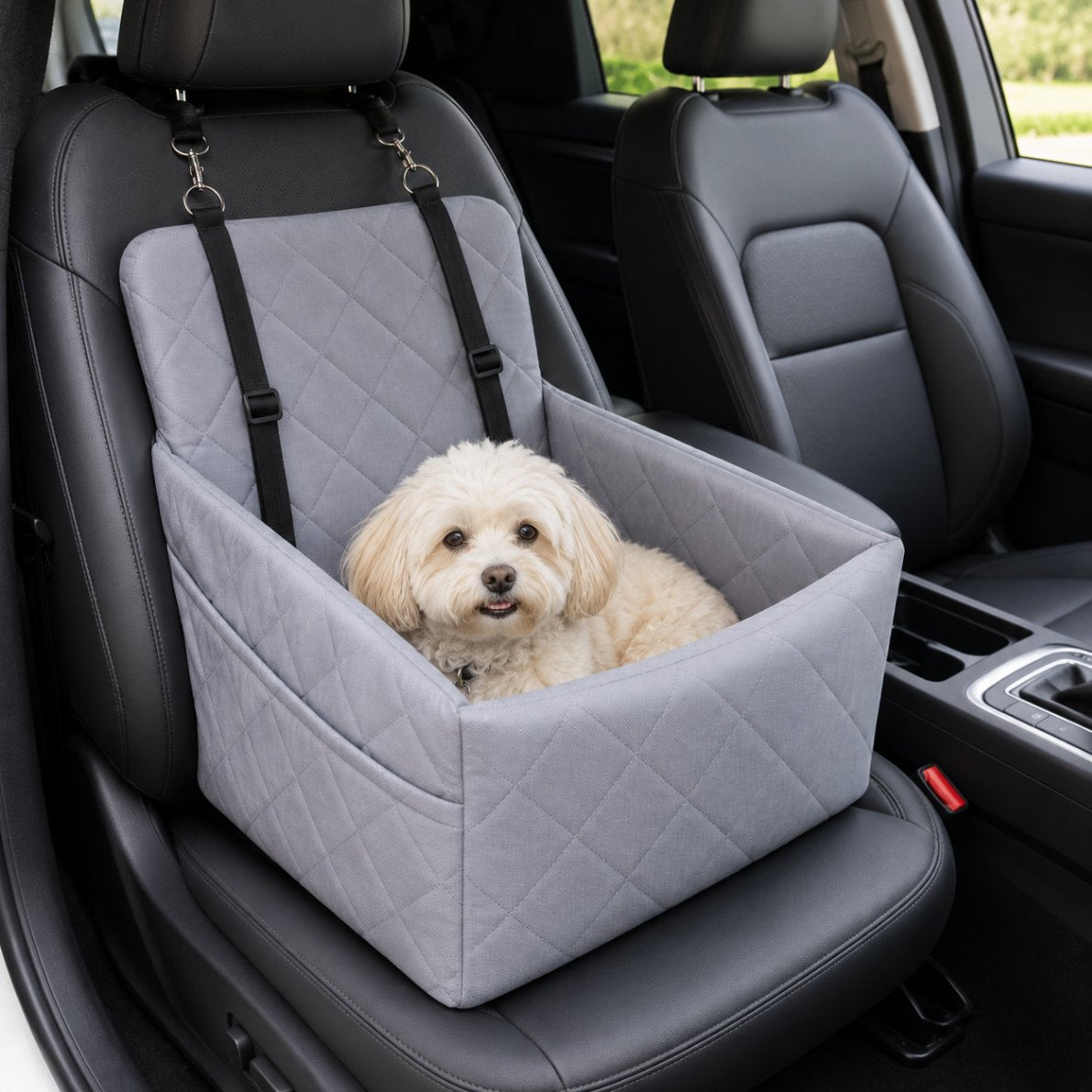 Dog enjoying the cooling booster seat