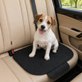 Jack Russell on black CanisCool Cooling Seat
