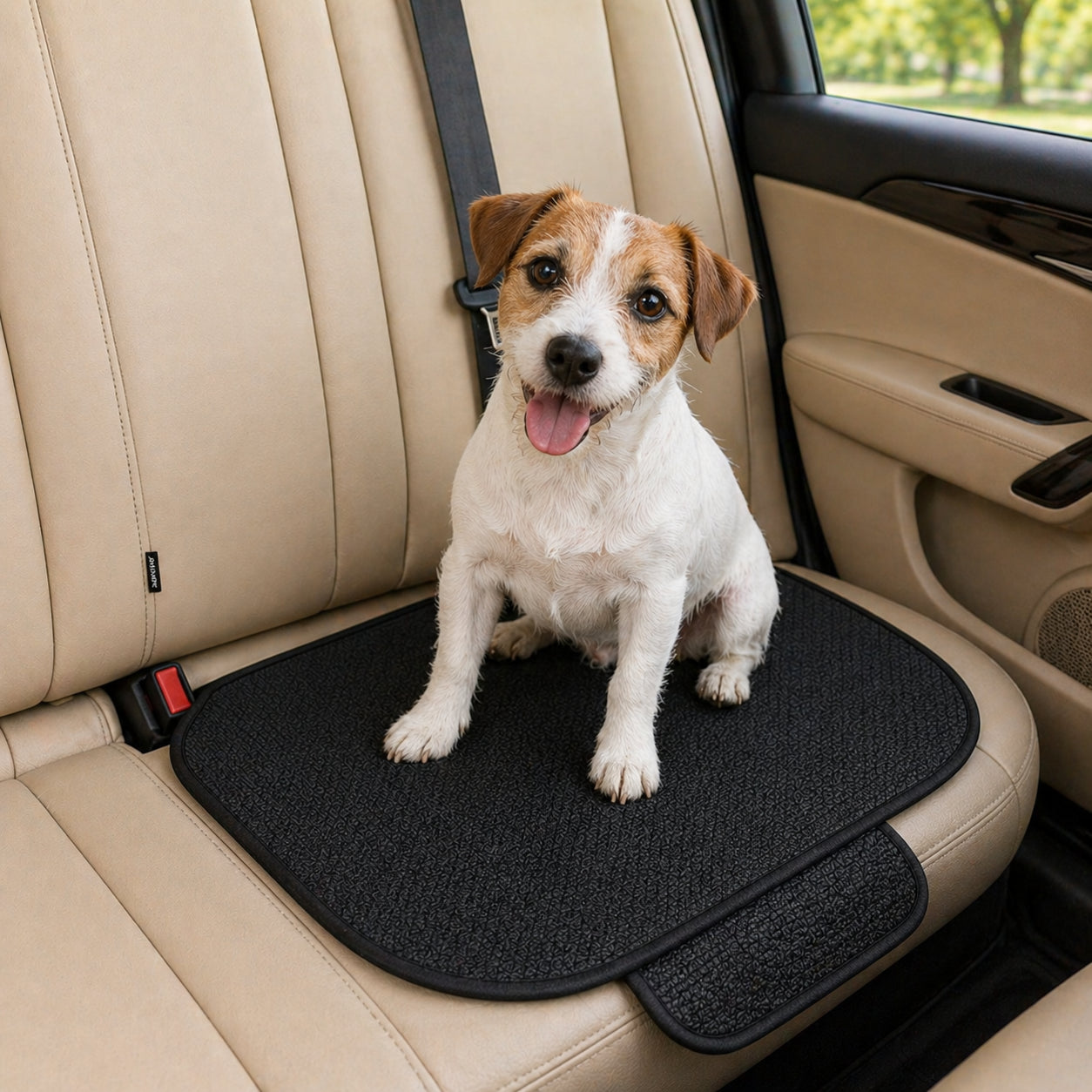 Jack Russell on black CanisCool Cooling Seat