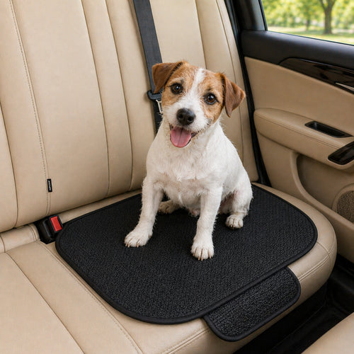 Jack Russell on black CanisCool Cooling Seat