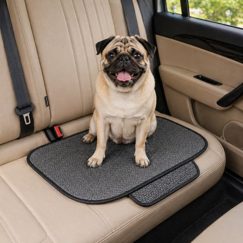 Pug on grey CanisCool Cooling Seat